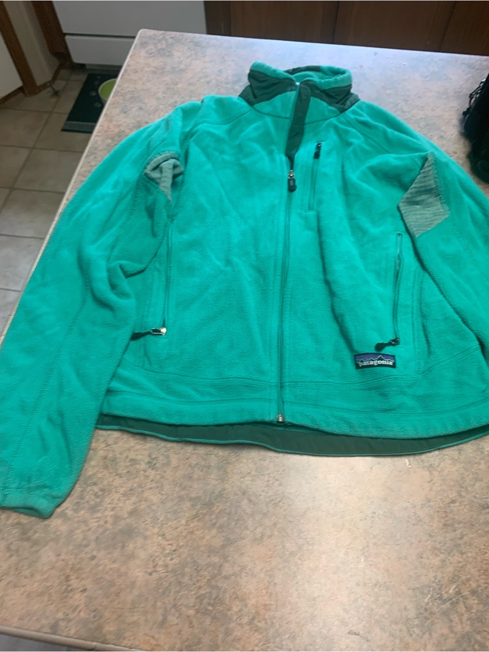 Patagonia jacket